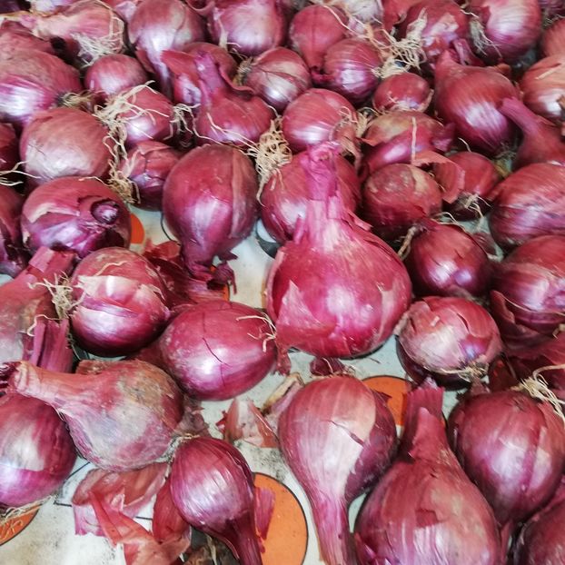  - 0-2019 - De prin curte