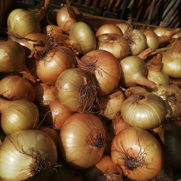  - 2018 - Din roadele grădinii