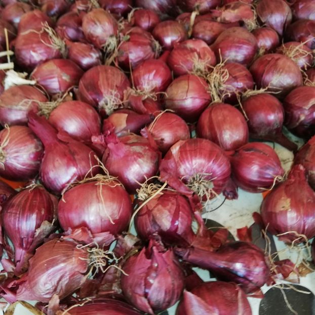  - 2018 - Din roadele grădinii