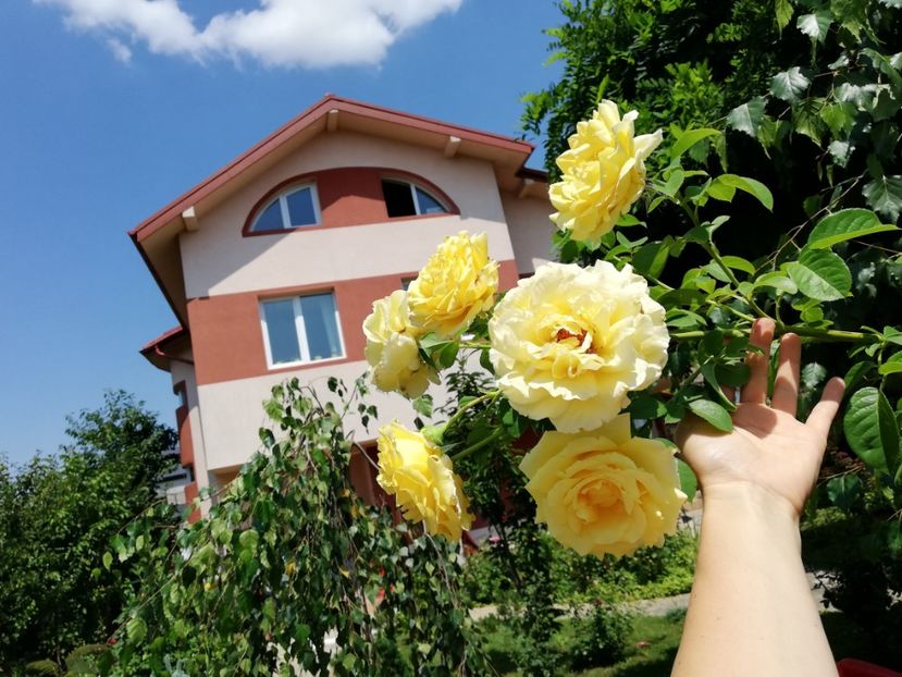  - Cyrano de Bergerac