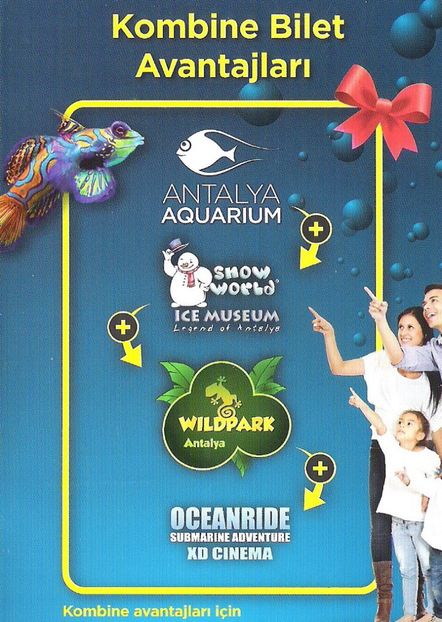 181104 Antalya, acvariul _1 - 2016-18 A