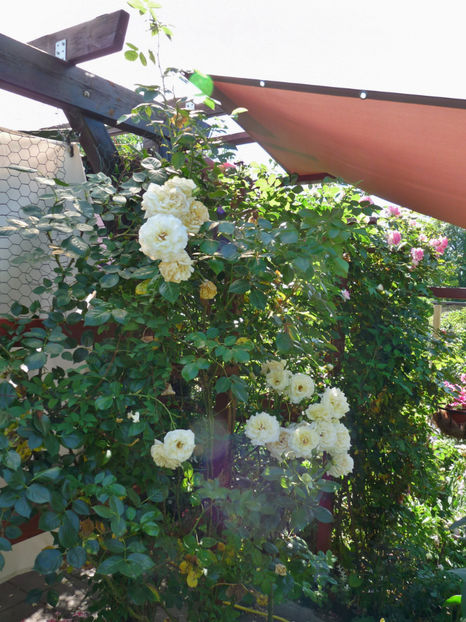 Sufera si protejat! - Tc_Ee