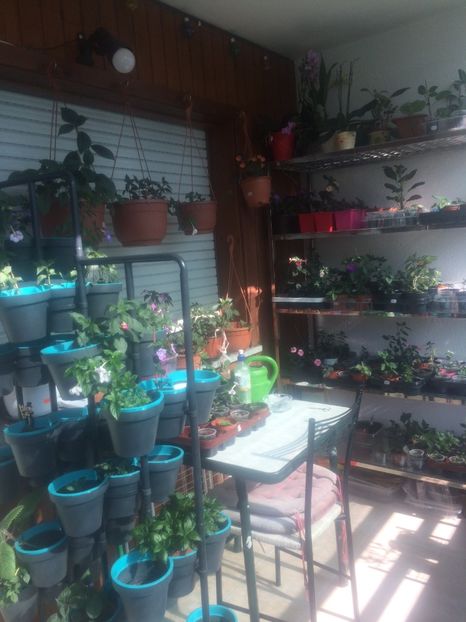 Deci...nu mai am loc :( - Balconul