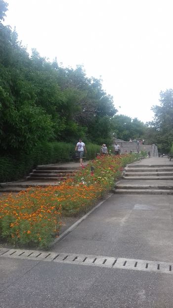  - Mărășești cimitirul eroilor