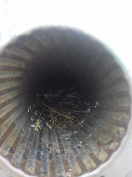  - Mărășești cimitirul eroilor