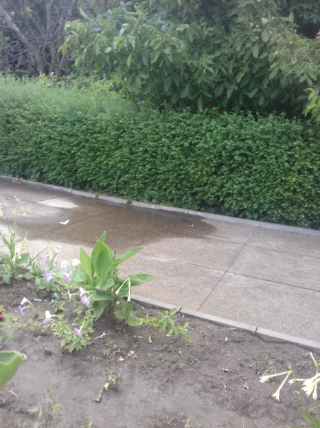  - Mărășești cimitirul eroilor