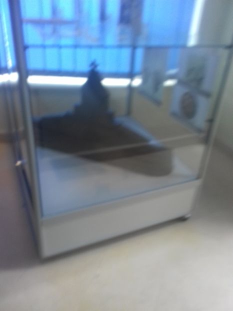  - Mărășești cimitirul eroilor