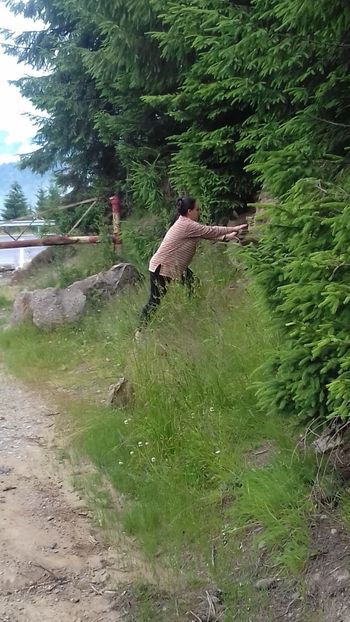  - Maramures popas