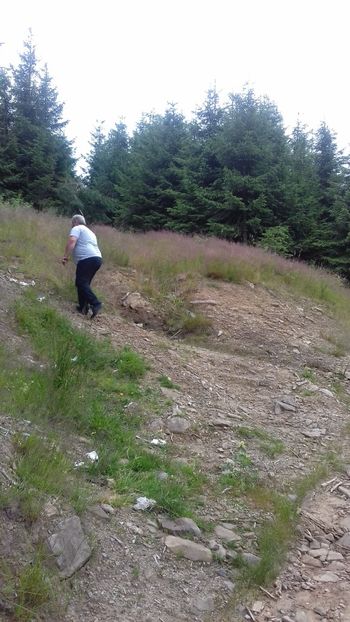  - Maramures popas