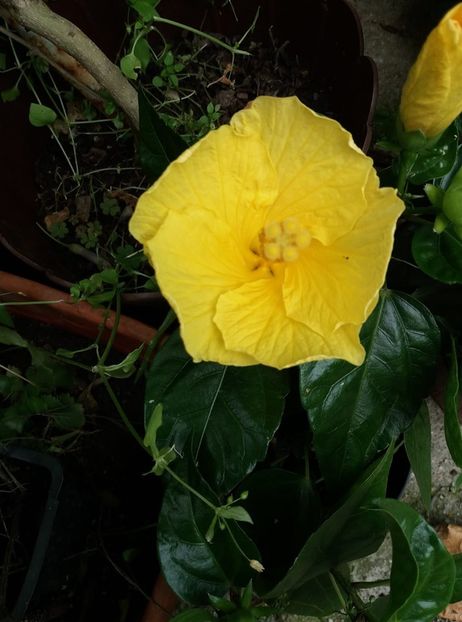 cu asta 18 - iulie 2019