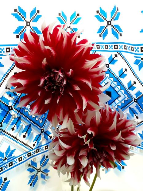  - AAAA_DALII 2015_2017_2018_2019_2020_2023