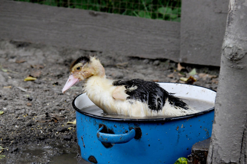  - 03 Rate lesesti 2019