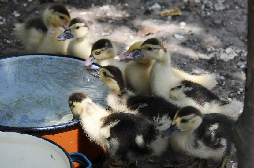  - 03 Rate lesesti 2019