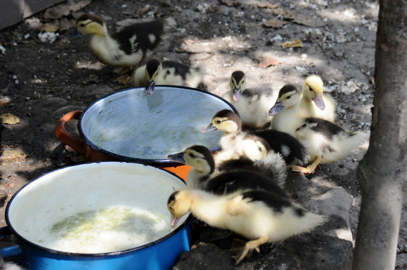  - 03 Rate lesesti 2019