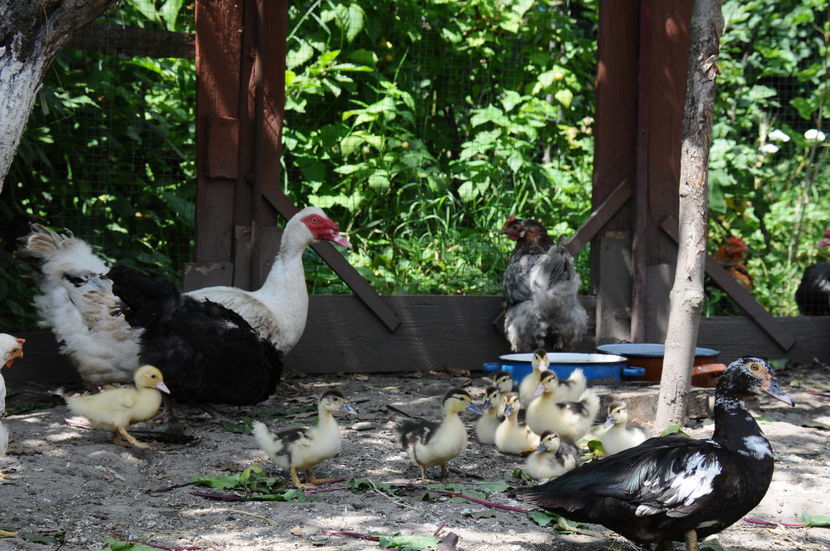  - 03 Rate lesesti 2019