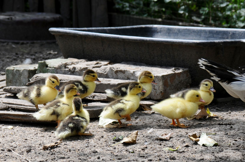  - 03 Rate lesesti 2019