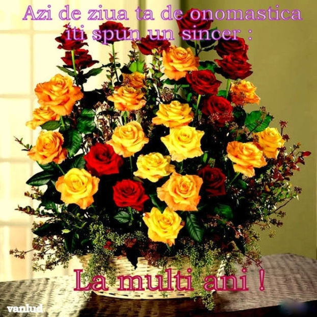 44642906_MQMDZDYLI - Felicitari