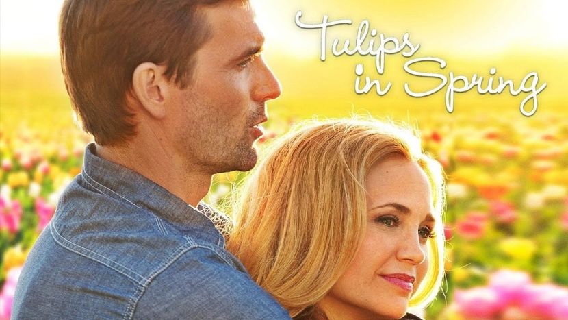 Tulips in spring - Hallmark movies