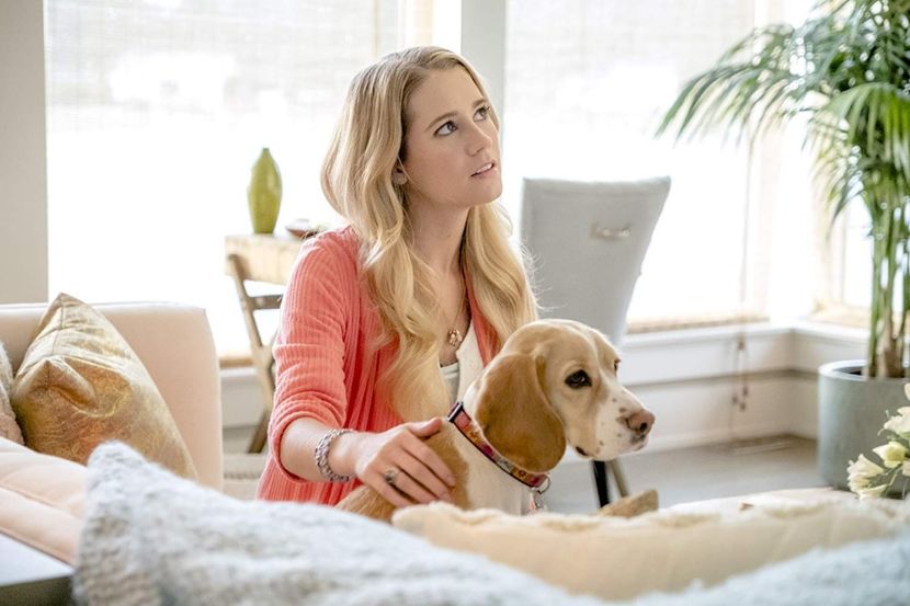 Cassidy Gifford-Laura Haley - Hallmark movies