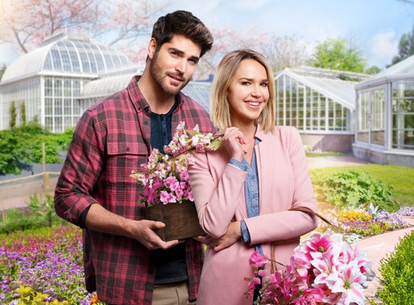 A brush with love - Hallmark movies