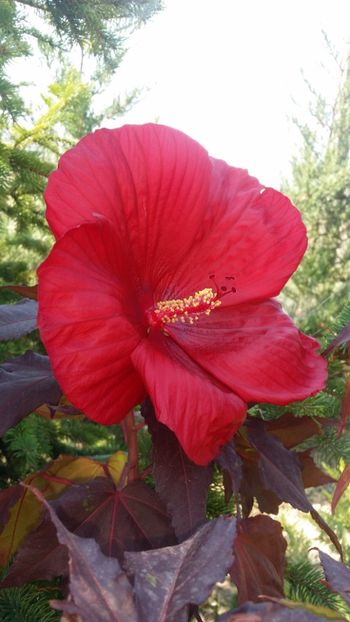  - curtea cu toate cele 2019