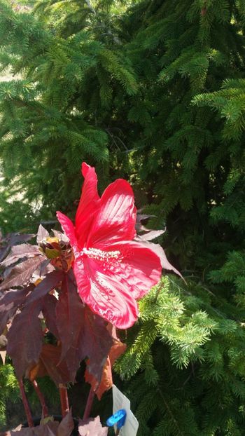  - curtea cu toate cele 2019