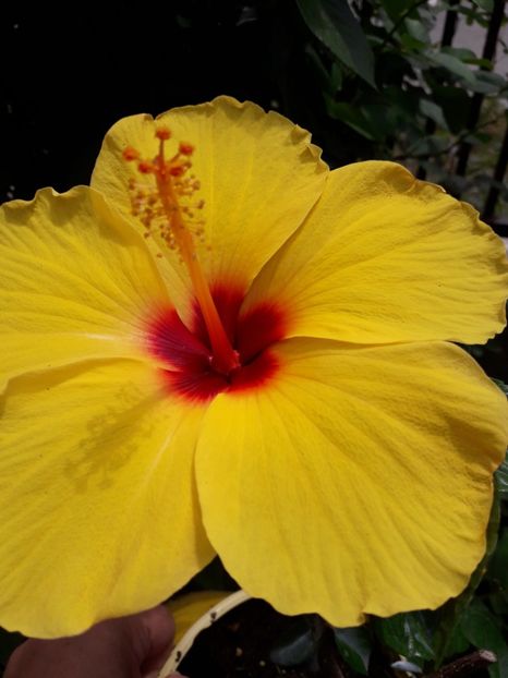  - Talmeș balmeș 2019