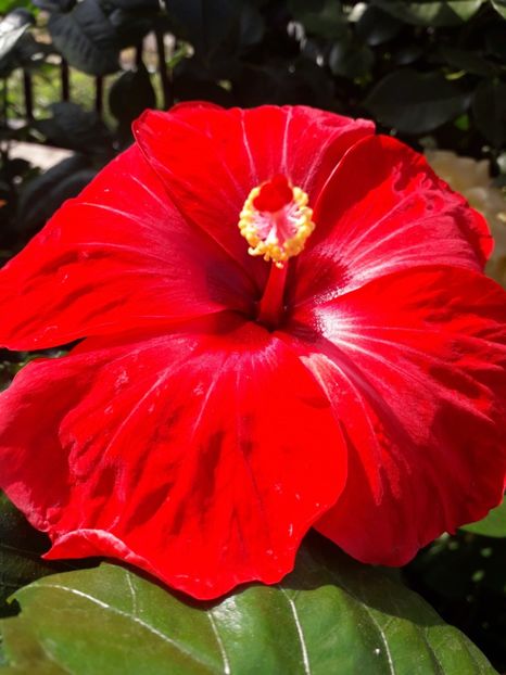  - Talmeș balmeș 2019