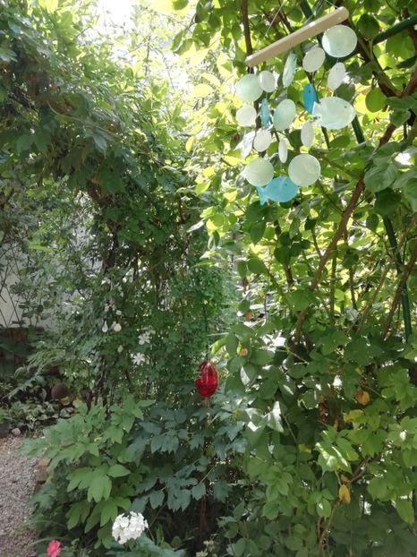  - Gradina 2019
