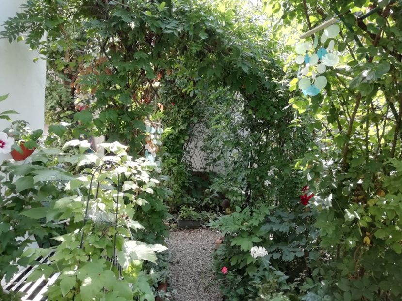  - Gradina 2019