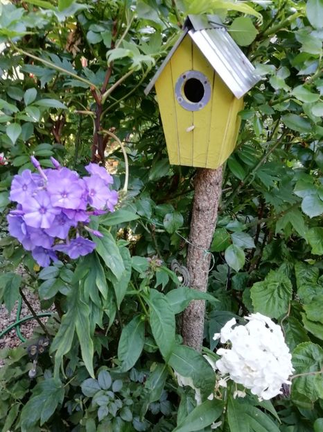  - Gradina 2019