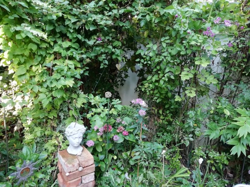  - Gradina 2019