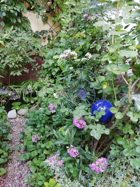  - Gradina 2019