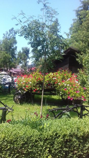  - Piatra Neamț