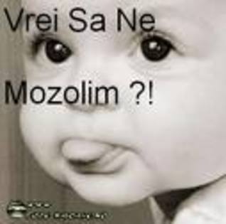 images988 - poze frmoase