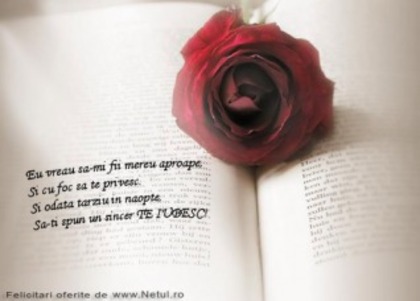 in noapte - poze frmoase