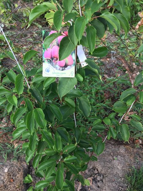 27 Iulie 2019 - 7 BINGO