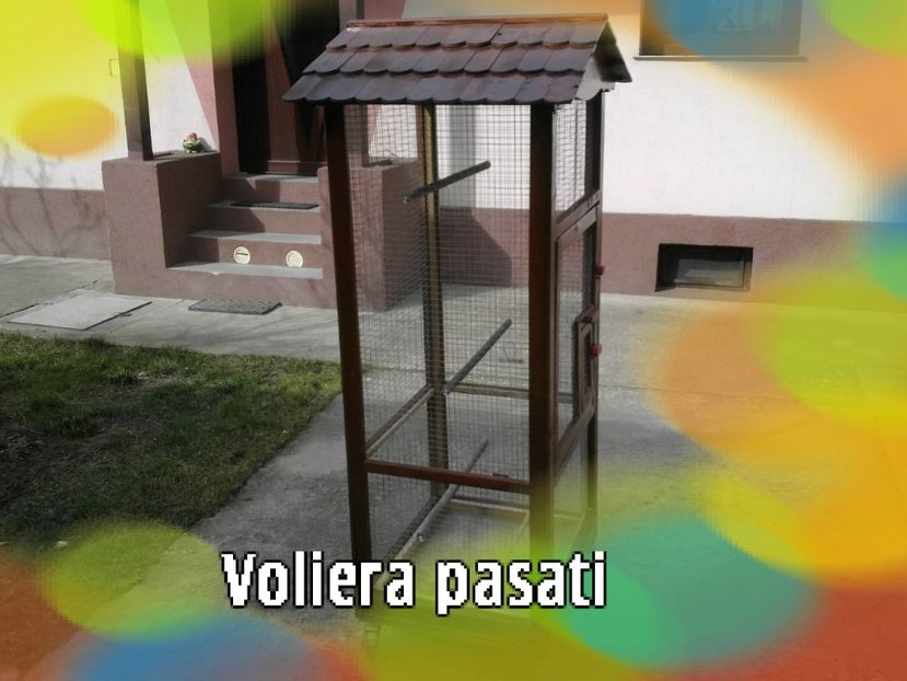 22022015509-002 - colivie papagali