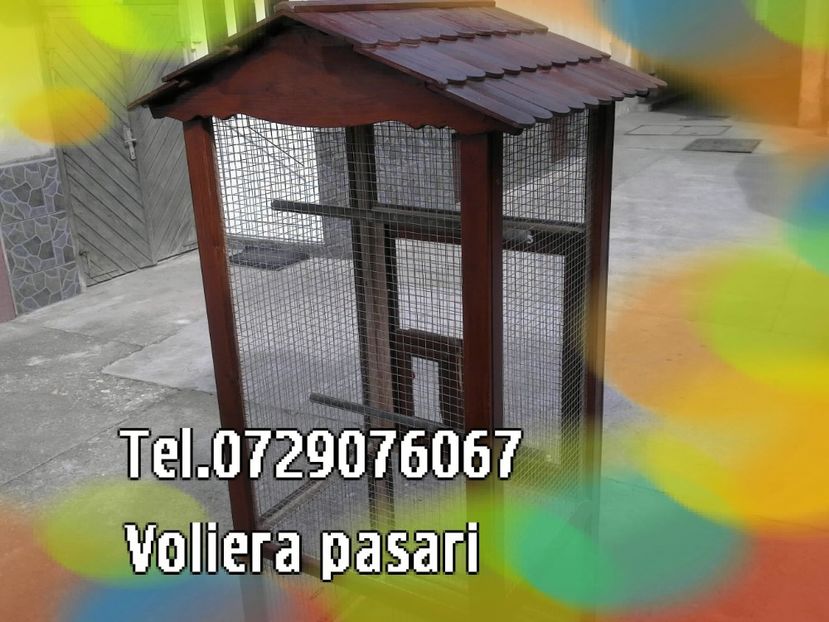 22022015510-003 - colivie papagali