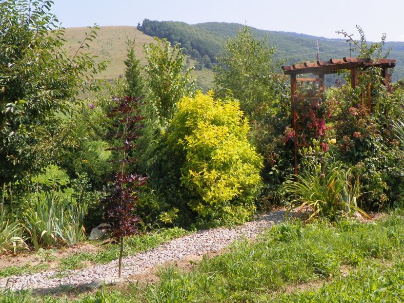 27 iul (193) - Dobarland 2019 3