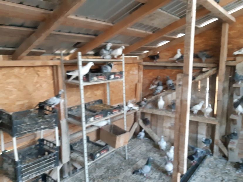 IMG-20190727-WA0016 - Iulie 2019