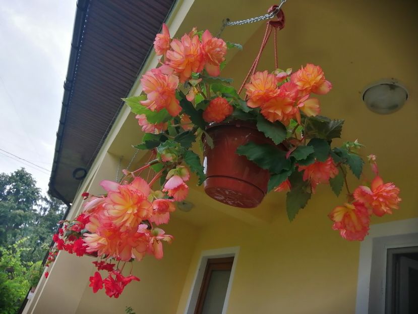  - Frumuseti la casa parinteasca
