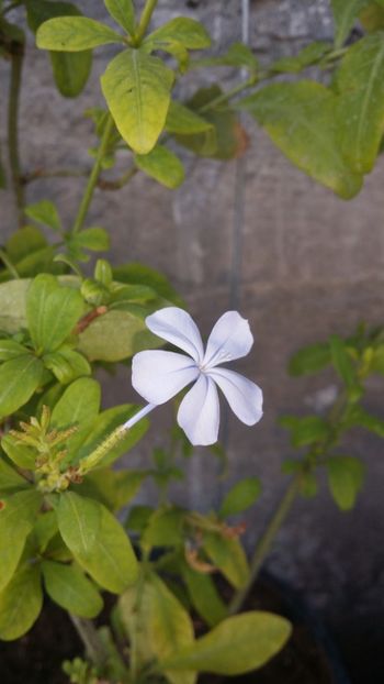  - curtea cu toate cele 2019