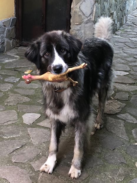 "ai timp de-o pasa?" iul.2019 - MARA DE CROITORU