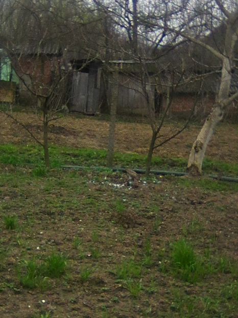 Photo0229 - GRADINA 2