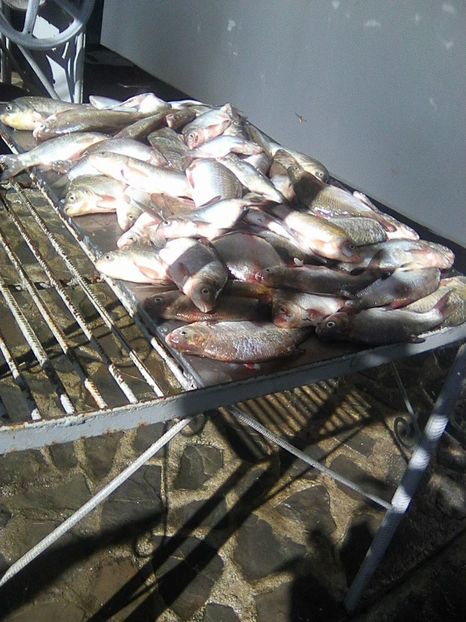 Photo0415 - PESCUIT 2019