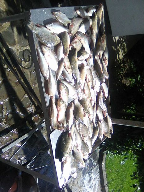 Photo0416 - PESCUIT 2019