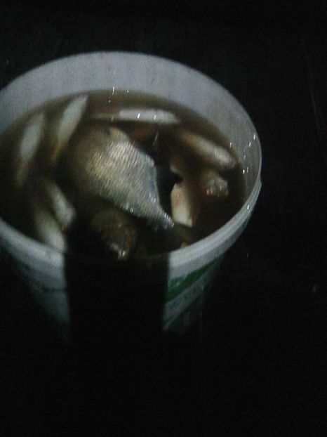 Photo0417 - PESCUIT 2019