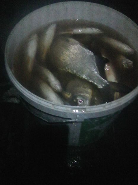 Photo0418 - PESCUIT 2019