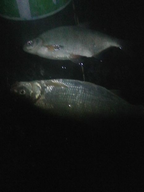 Photo0420 - PESCUIT 2019